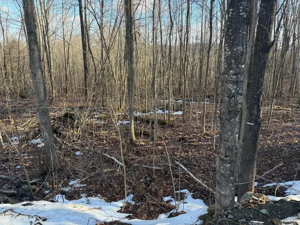 $55,000 | 92 Great Northern Road, Troy, VT 05859