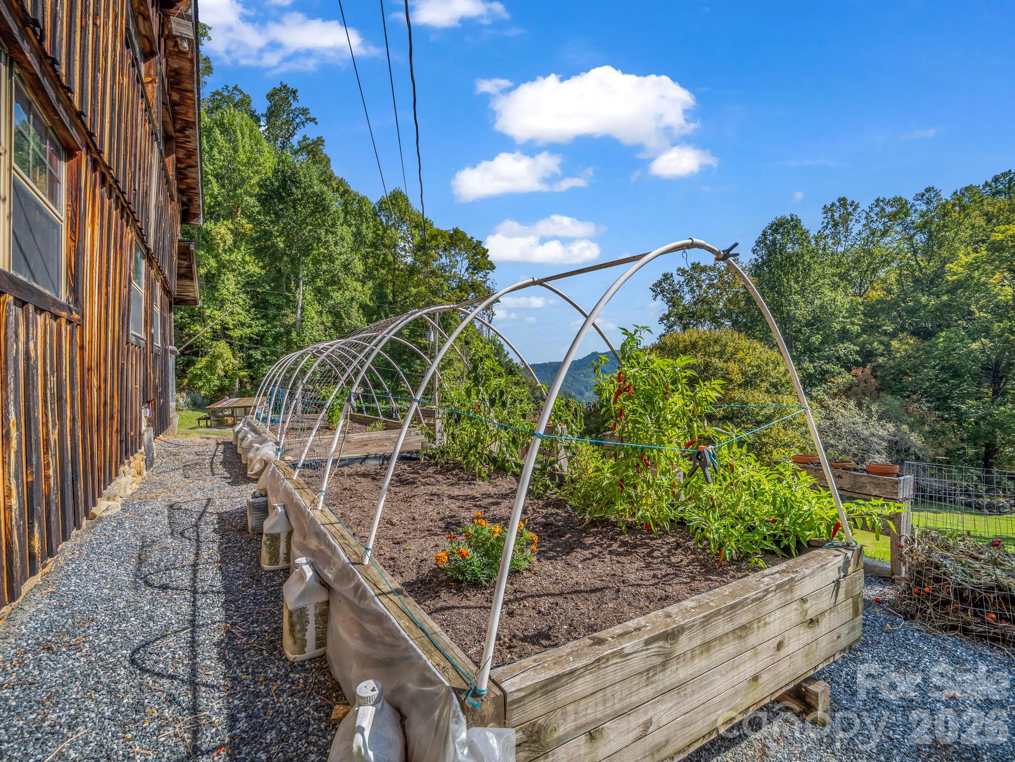 765 Hawk Ridge Lane Marshall, NC 28753 - Photo 11 of 48 Gallery Image 11