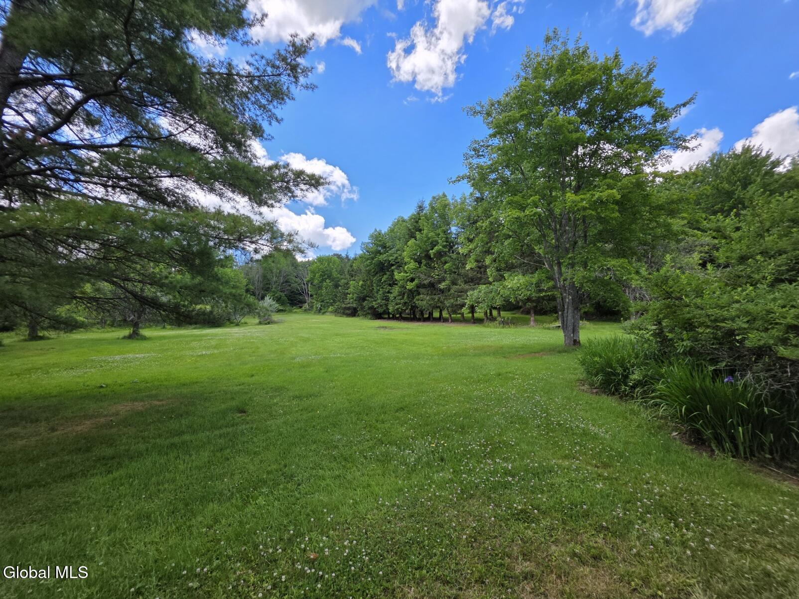 419 Halbert Hill Road Butternuts, NY 13843 - Photo 30 of 48 20260617_121852