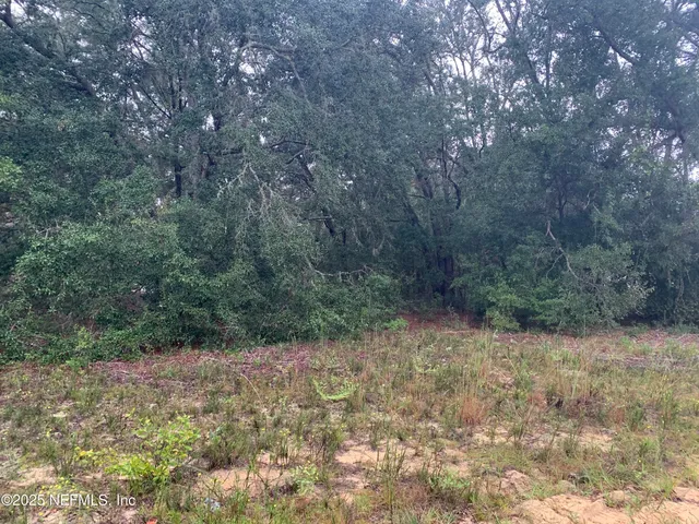 $21,000 | 250 Lenore Avenue, Interlachen, FL 32148