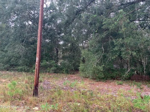 $21,000 | 250 Lenore Avenue, Interlachen, FL 32148