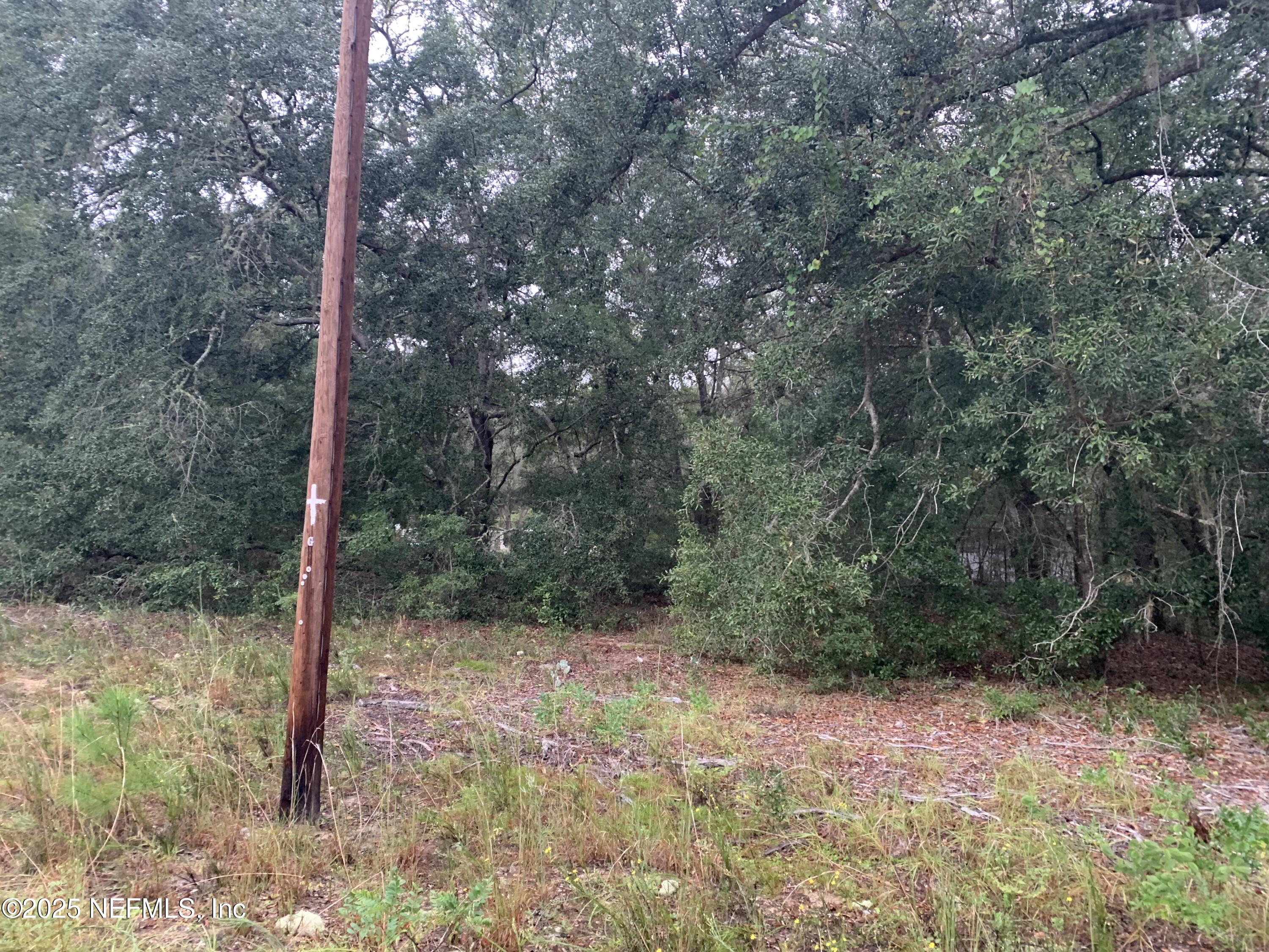 250 Lenore Avenue Interlachen, FL 32148 - Photo 12 of 13 Hart - 000 Lenore Ave