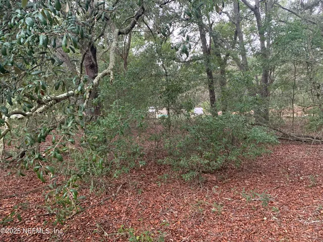 $21,000 | 250 Lenore Avenue, Interlachen, FL 32148