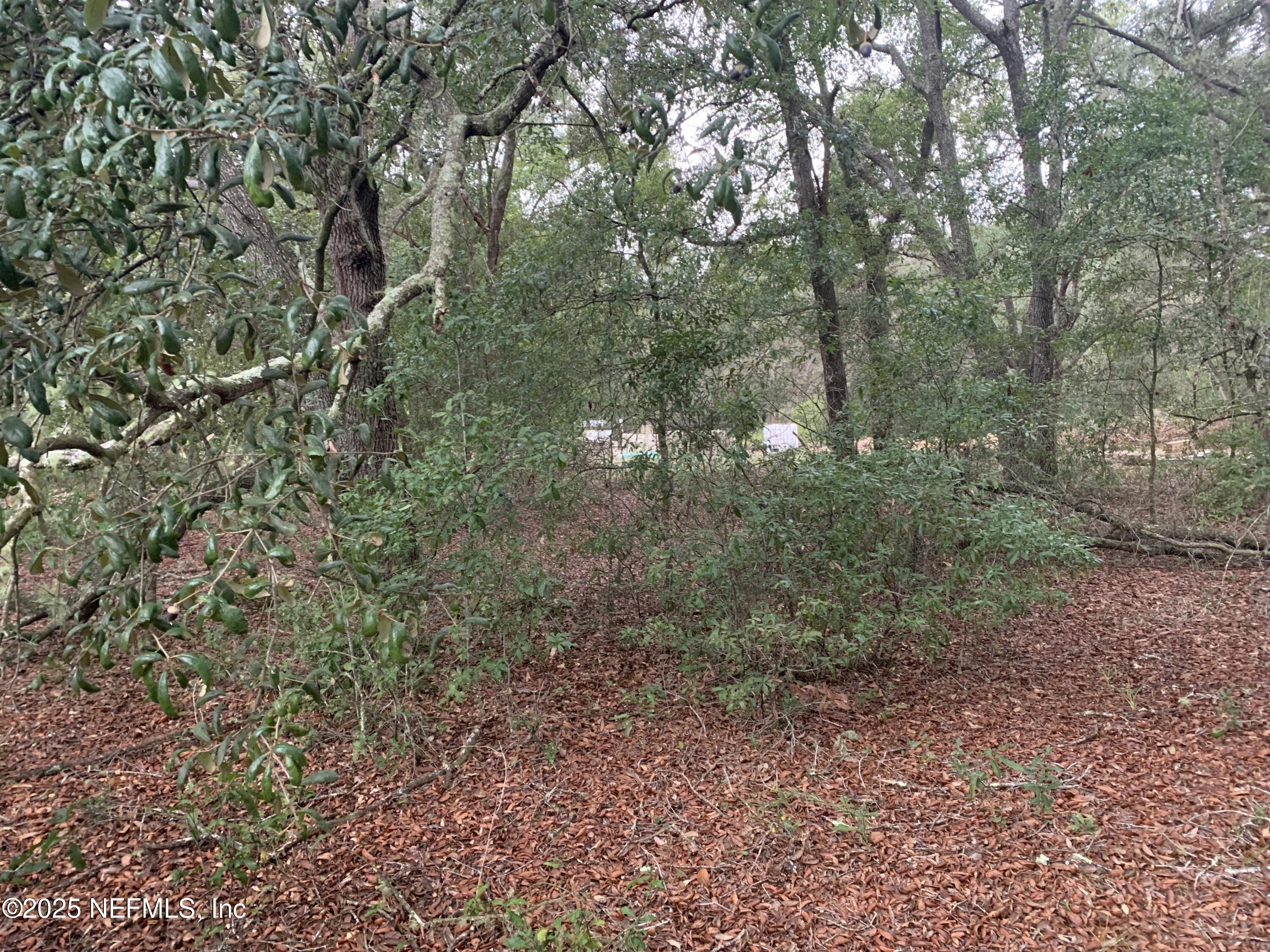 250 Lenore Avenue Interlachen, FL 32148 - Photo 2 of 13 Hart - 000 Lenore Ave