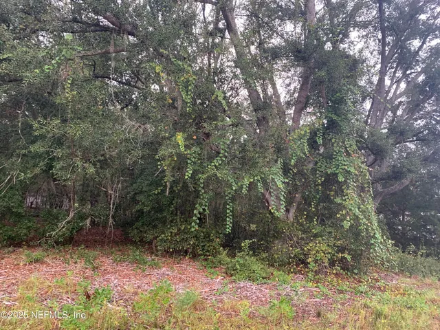 $21,000 | 250 Lenore Avenue, Interlachen, FL 32148