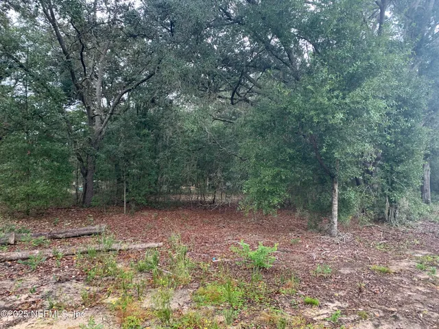 $21,000 | 250 Lenore Avenue, Interlachen, FL 32148