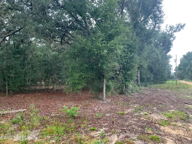 $21,000 | 250 Lenore Avenue, Interlachen, FL 32148