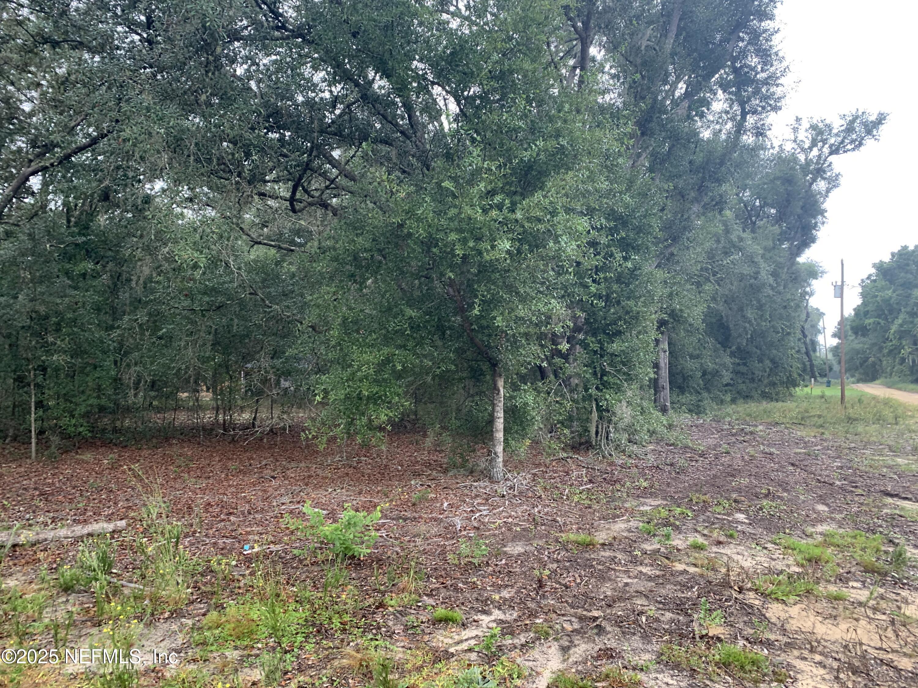 250 Lenore Avenue Interlachen, FL 32148 - Photo 5 of 13 Hart - 000 Lenore Ave