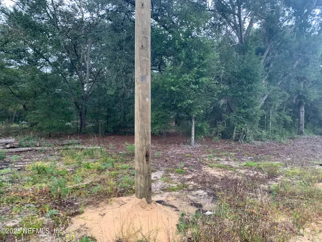 $21,000 | 250 Lenore Avenue, Interlachen, FL 32148