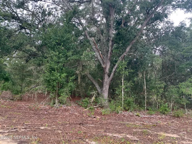 $21,000 | 250 Lenore Avenue, Interlachen, FL 32148