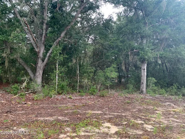 $21,000 | 250 Lenore Avenue, Interlachen, FL 32148