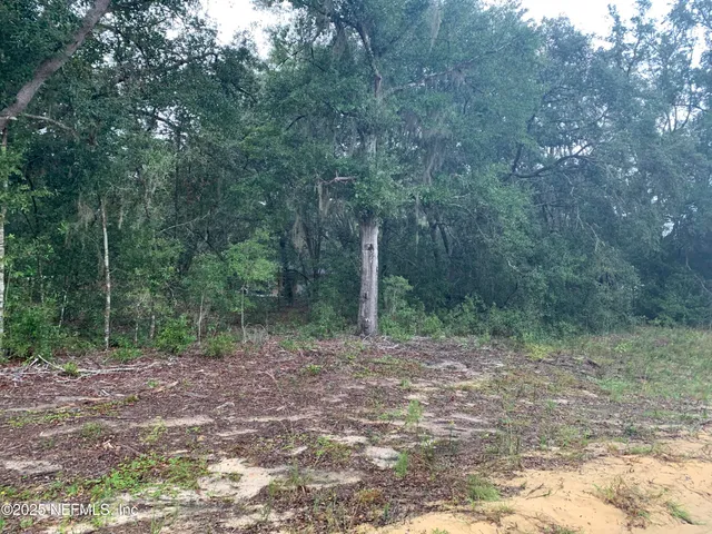 $21,000 | 250 Lenore Avenue, Interlachen, FL 32148