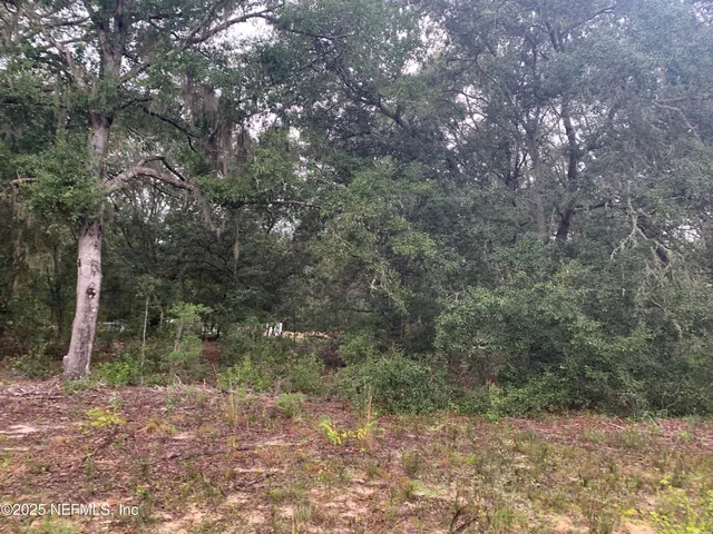 $21,000 | 250 Lenore Avenue, Interlachen, FL 32148