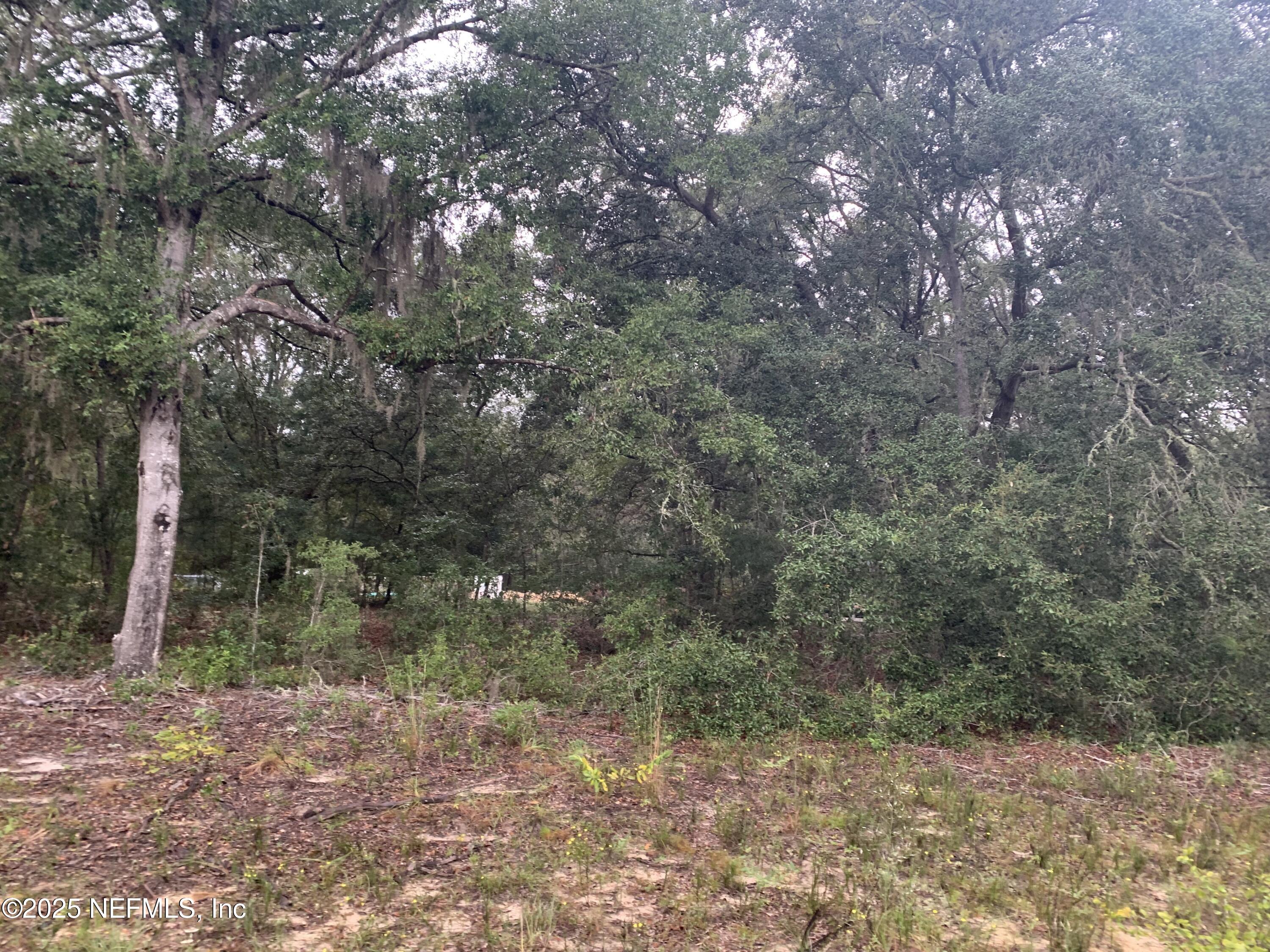 250 Lenore Avenue Interlachen, FL 32148 - Photo 10 of 13 Hart - 000 Lenore Ave