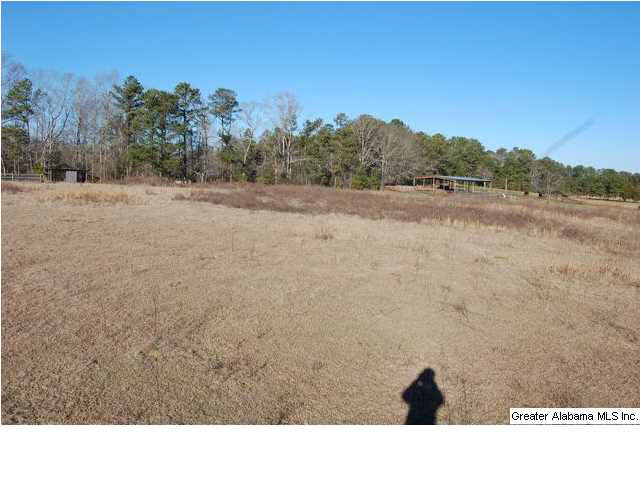 993 County Road, Unit 8/13/12 Clanton, AL 35045 - Photo 5 of 9