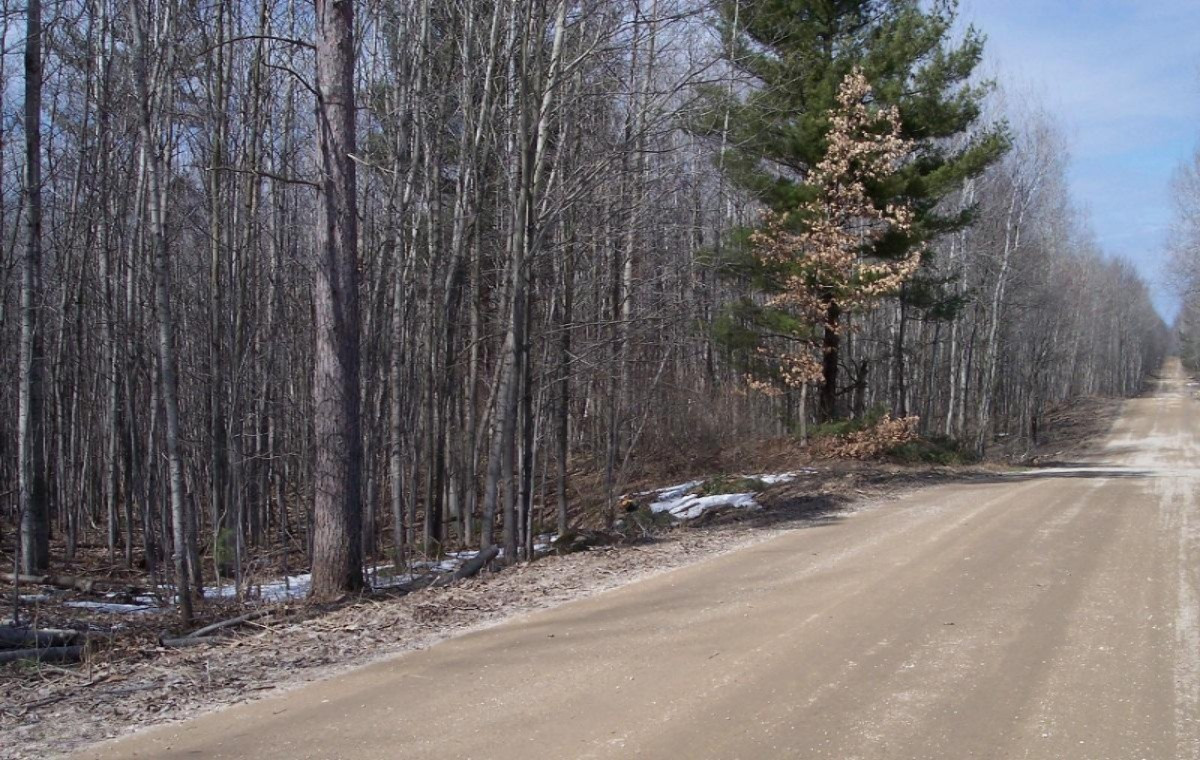 Costabella Road Barryton, MI 49305 - Photo 4 of 18 41 Costabella.JPG