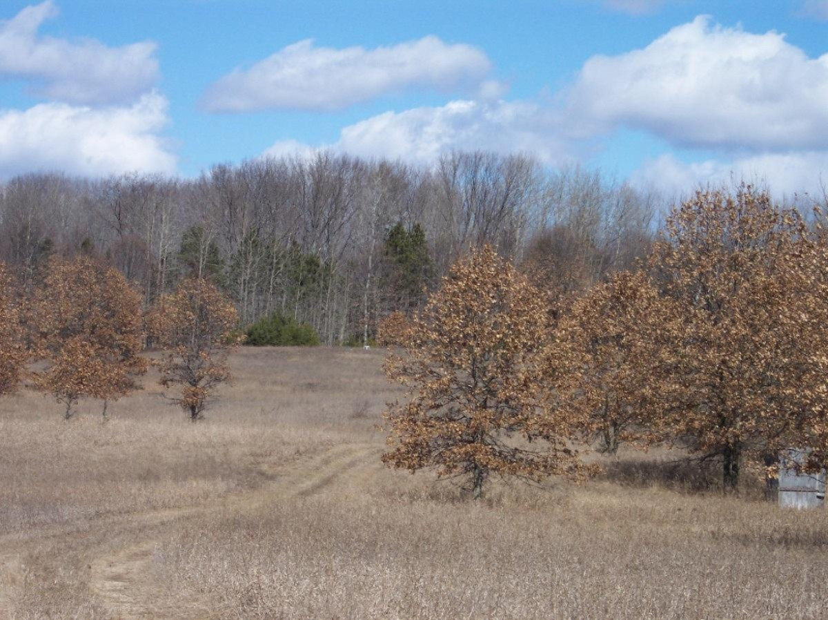 Costabella Road Barryton, MI 49305 - Photo 9 of 18 53 from 20 mile two track.jpg