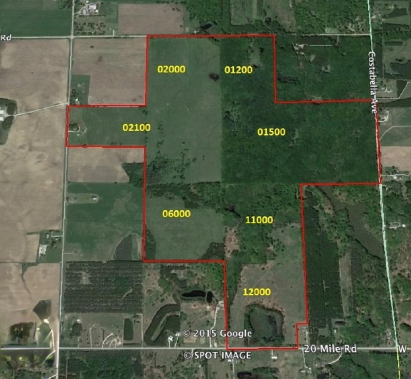 Costabella Road Barryton, MI 49305 - Photo 10 of 18 3 GoogleEarth_Image