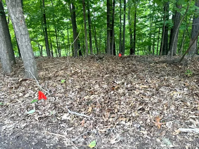 $74,500 | 1513 Wolf Trail Road, Wildwood, MO 63021