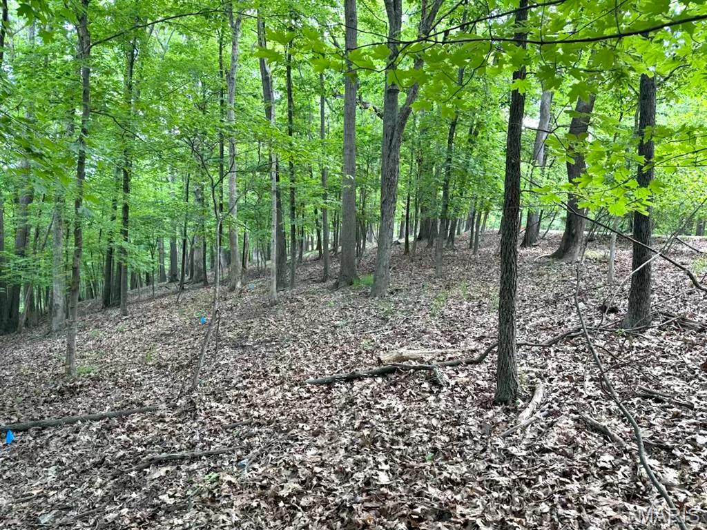 1513 Wolf Trail Road Wildwood, MO 63021 - Photo 2 of 10