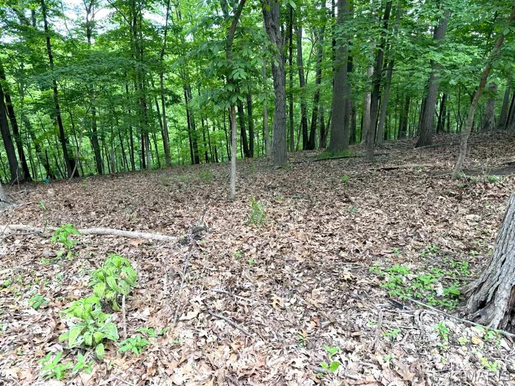 1513 Wolf Trail Road Wildwood, MO 63021 - Photo 6 of 10