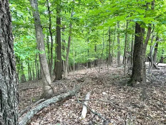 $74,500 | 1513 Wolf Trail Road, Wildwood, MO 63021