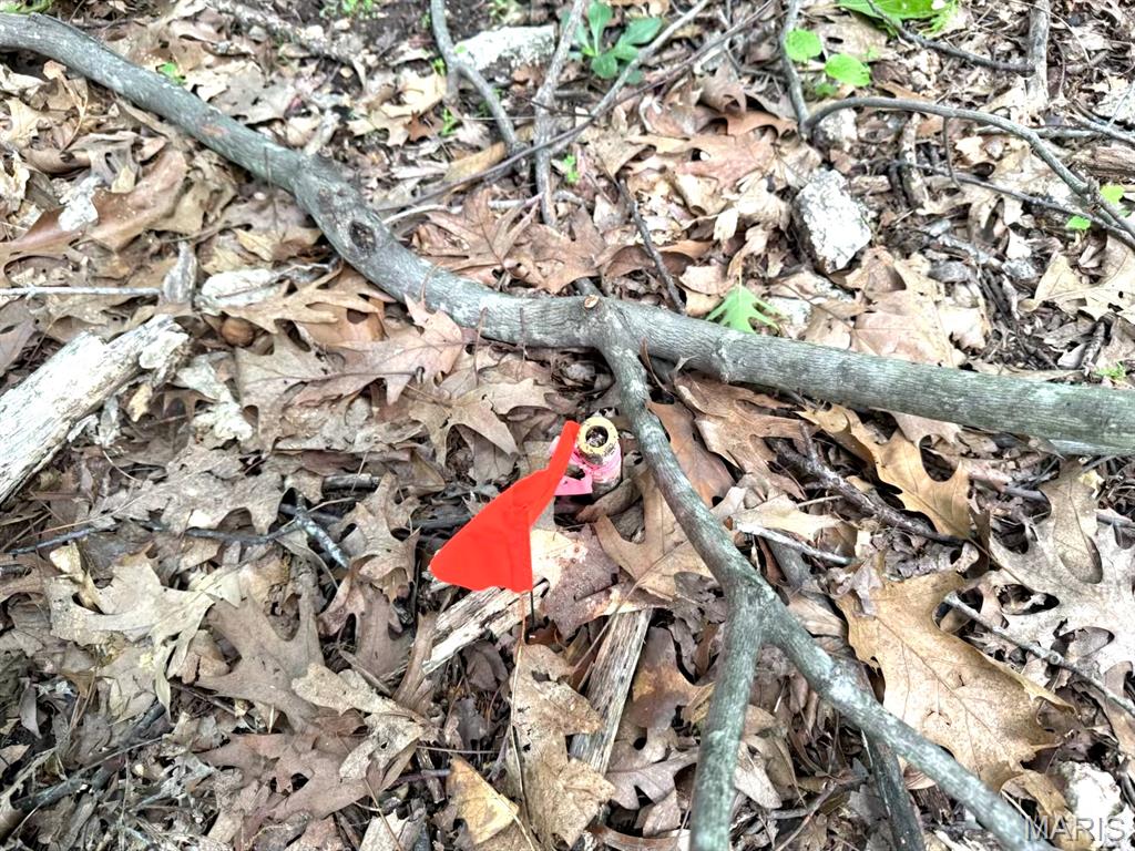 1513 Wolf Trail Road Wildwood, MO 63021 - Photo 8 of 10