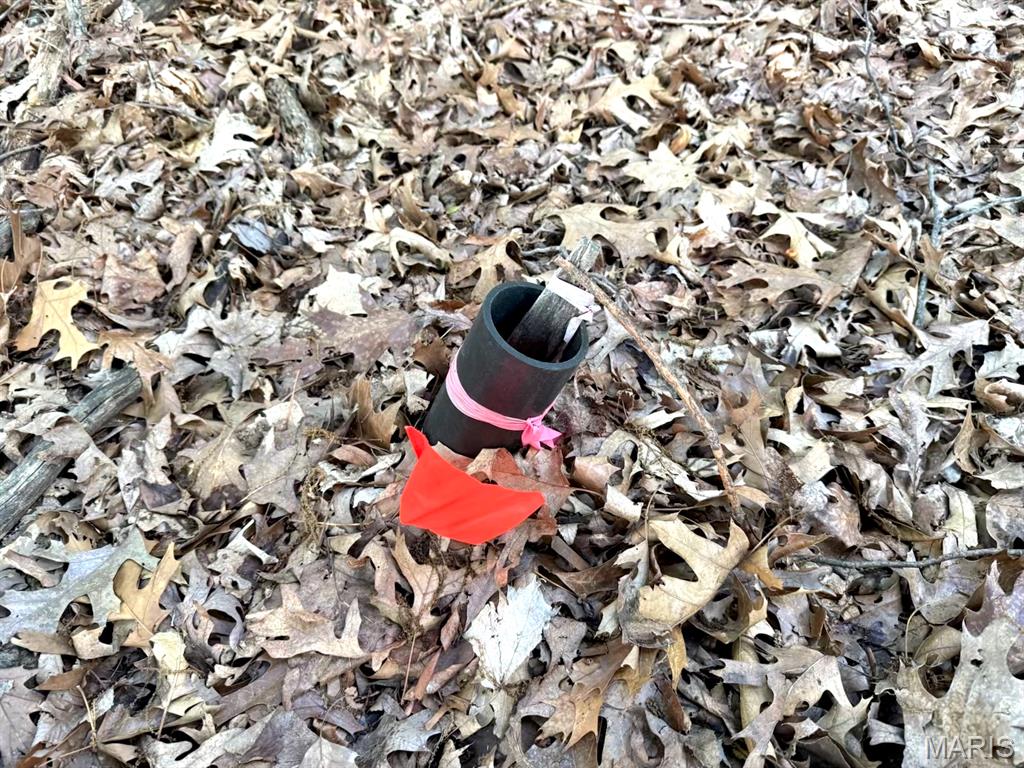 1513 Wolf Trail Road Wildwood, MO 63021 - Photo 10 of 10