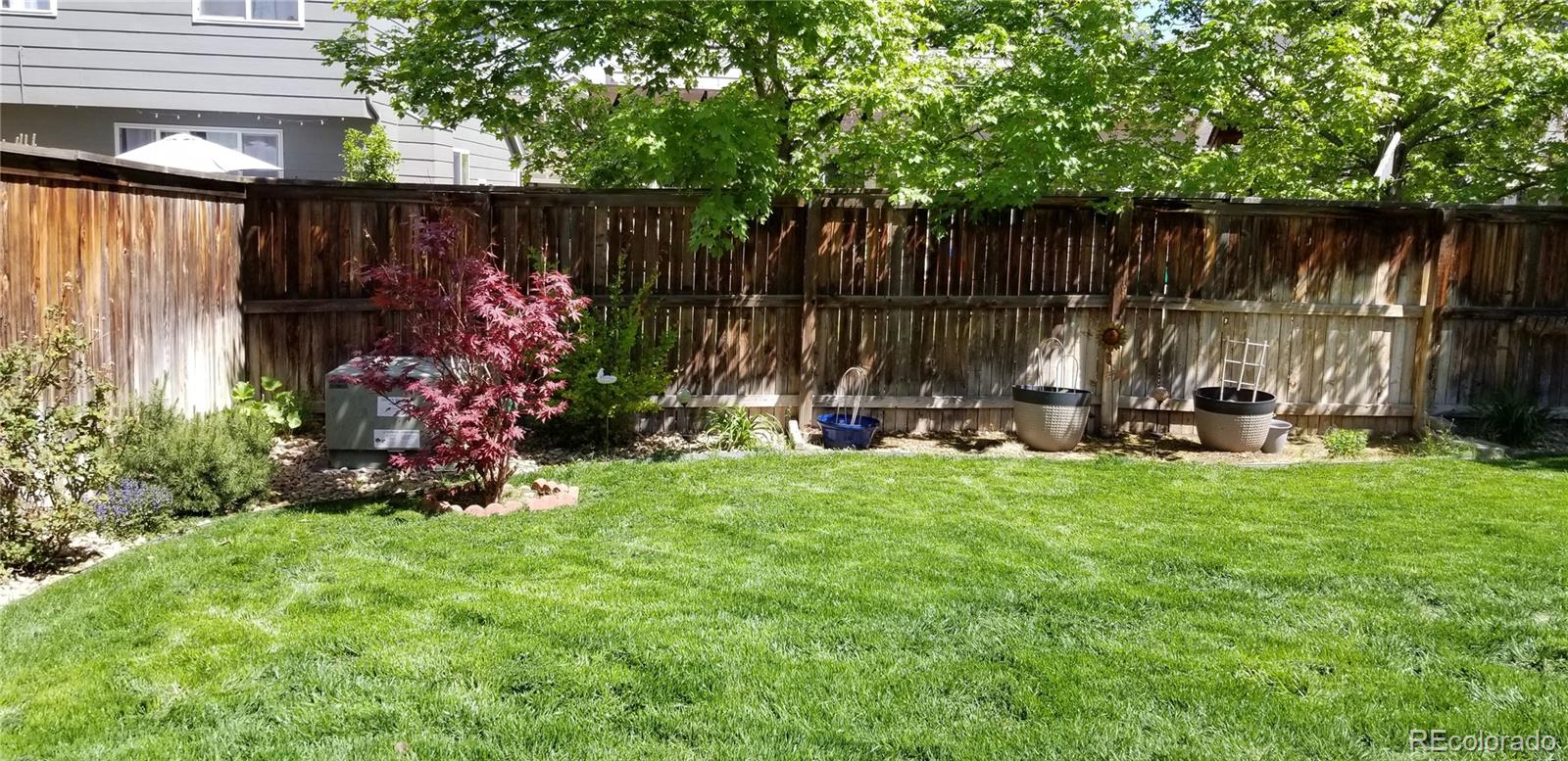 1149 Timbervale Trail Highlands Ranch, CO 80129 - Photo 5 of 32 a view of a backyard with plants and a fence
