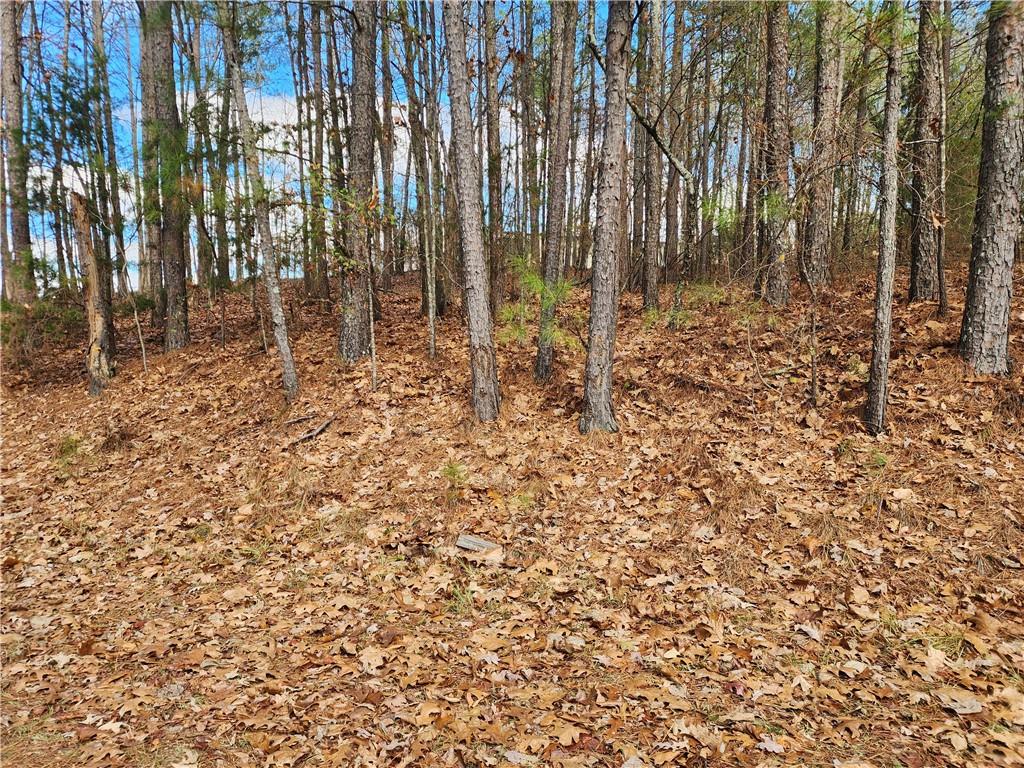 91 Cannon Ridge View Dallas, GA 30132 - Photo 1 of 3