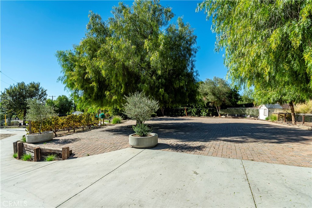 10161 Foothill Boulevard Sylmar, CA 91342 - Photo 39 of 65 a view of backyard with plants and trees