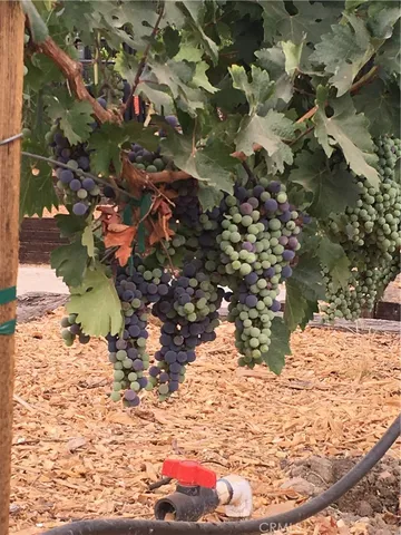 $2,295,000 | 10161 Foothill Boulevard, Sylmar, CA 91342