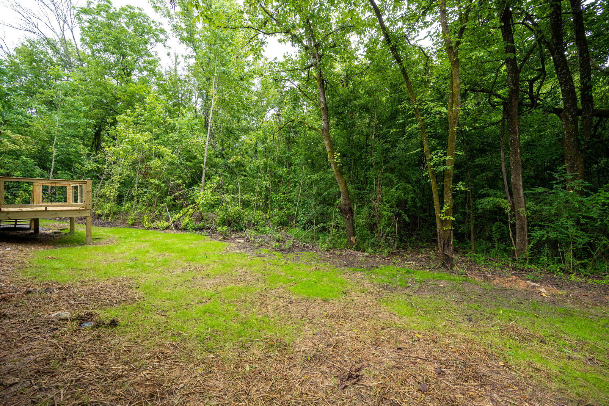 14984 Highway 193 Chickamauga, GA 30707 - Photo 5 of 30 33-web-or-mls-DSC_2874