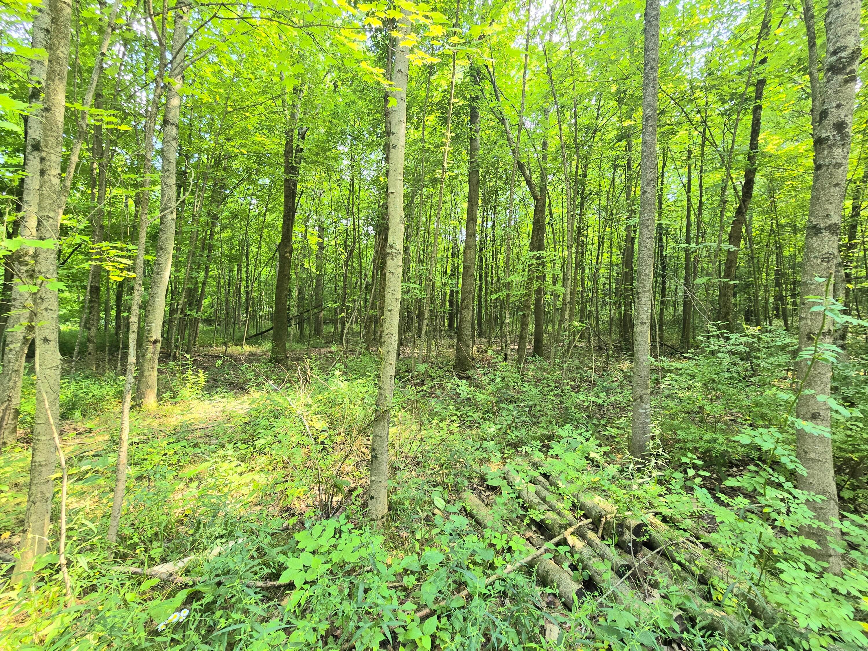 9026 Gregg Road Fredericktown, OH 43019 - Photo 13 of 17 1000062291