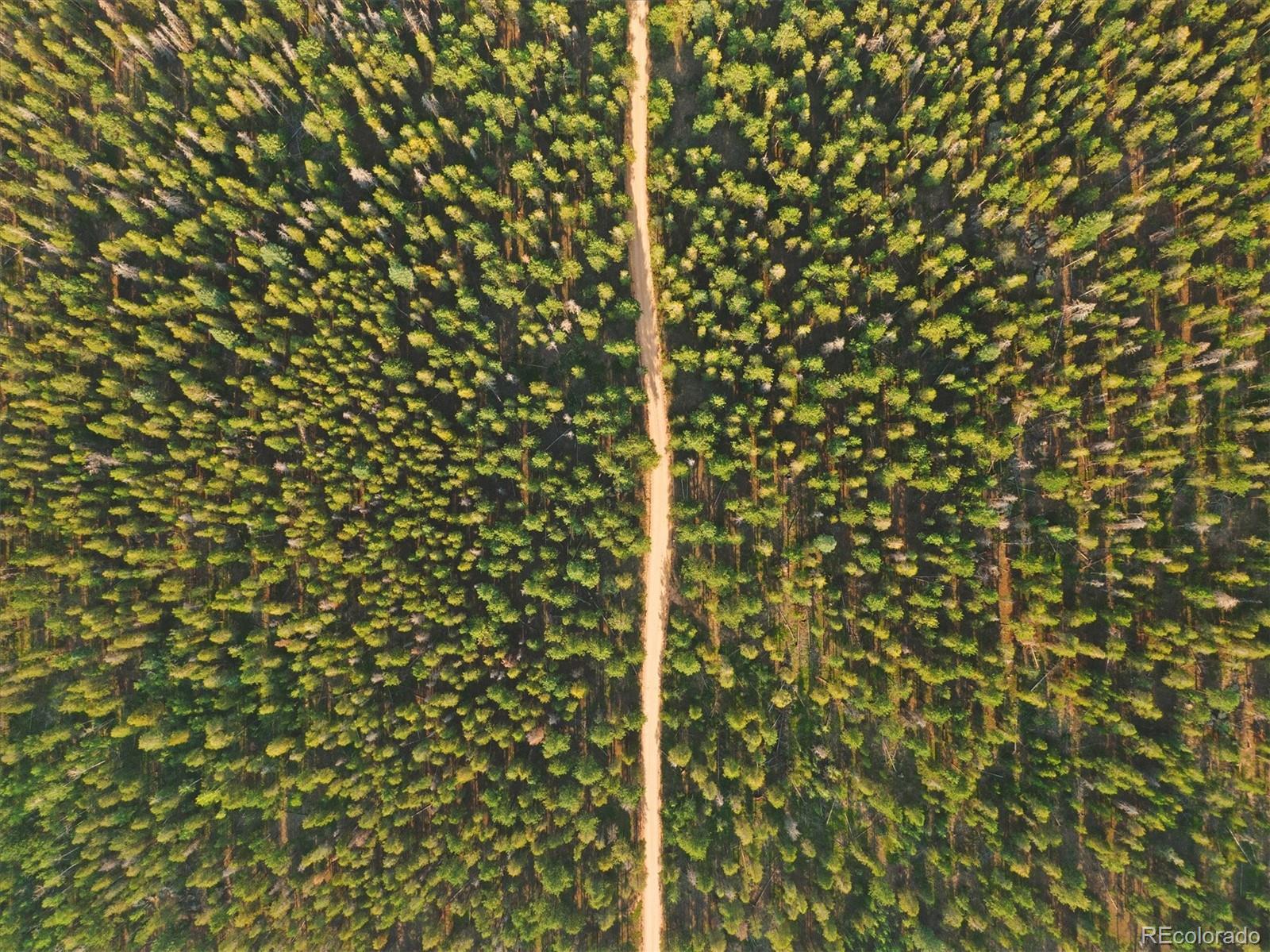 65 Road P-36 Bailey Co 80421 Bailey, CO 80421 - Photo 39 of 40