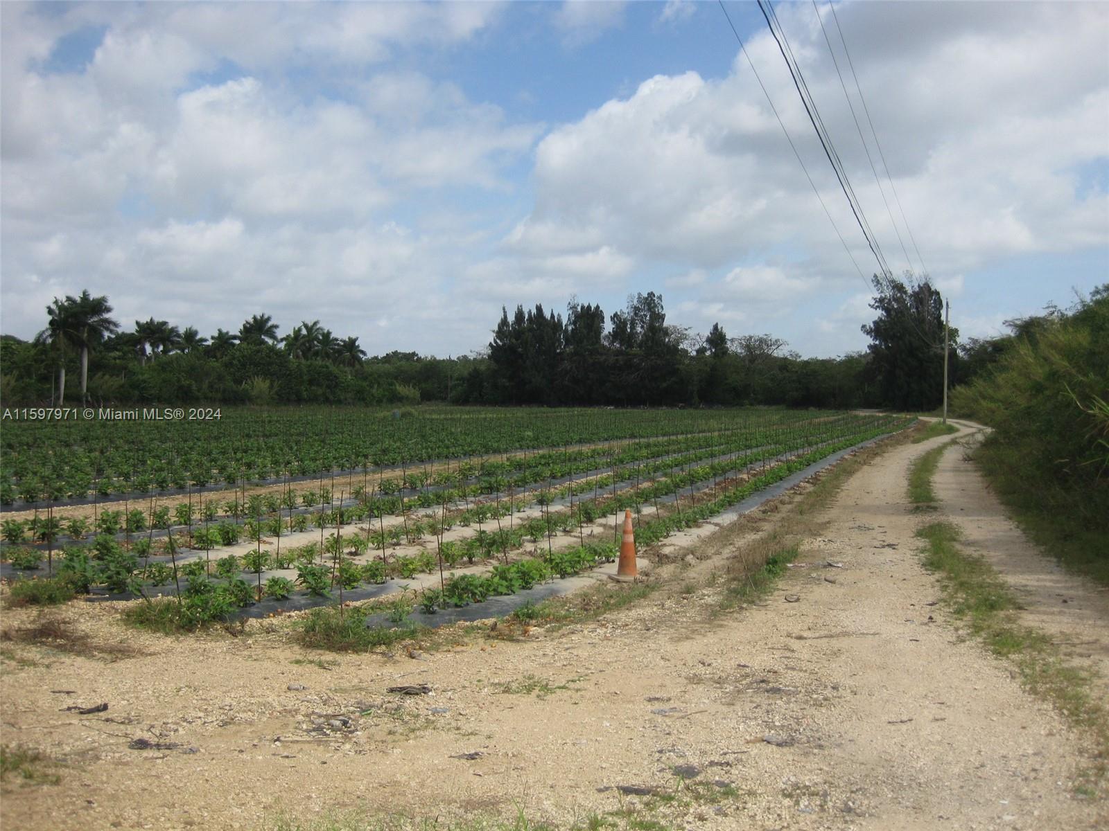 19922 Southwest 304th Street Homestead, FL 33030 - Photo 2 of 9 a view of a field with wooden fence