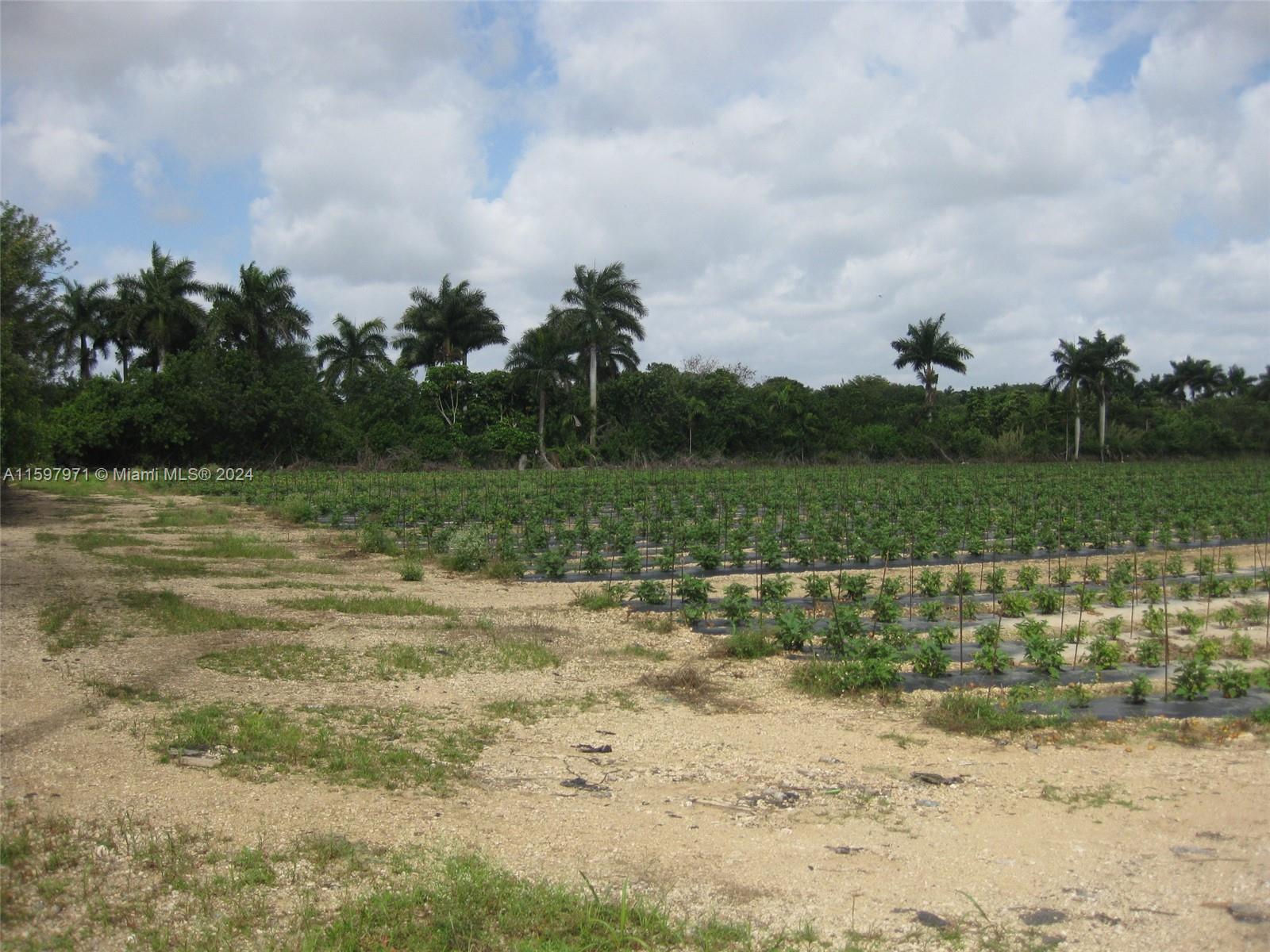 19922 Southwest 304th Street Homestead, FL 33030 - Photo 3 of 9 a view of a lake with a yard