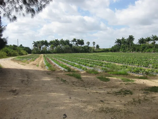 a view of a yard with a big yard
