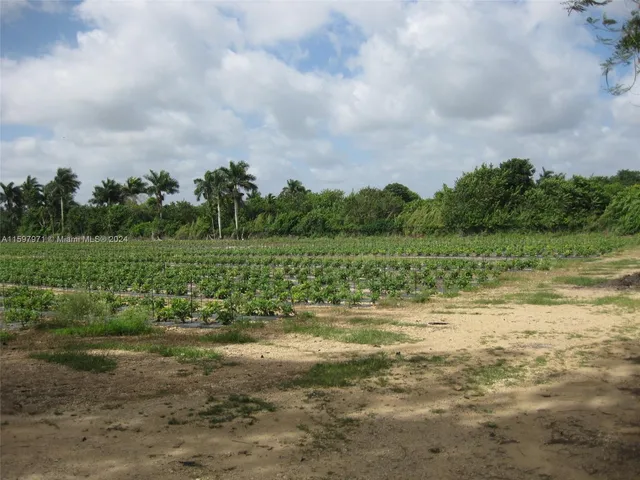 a view of a lake with a big yard