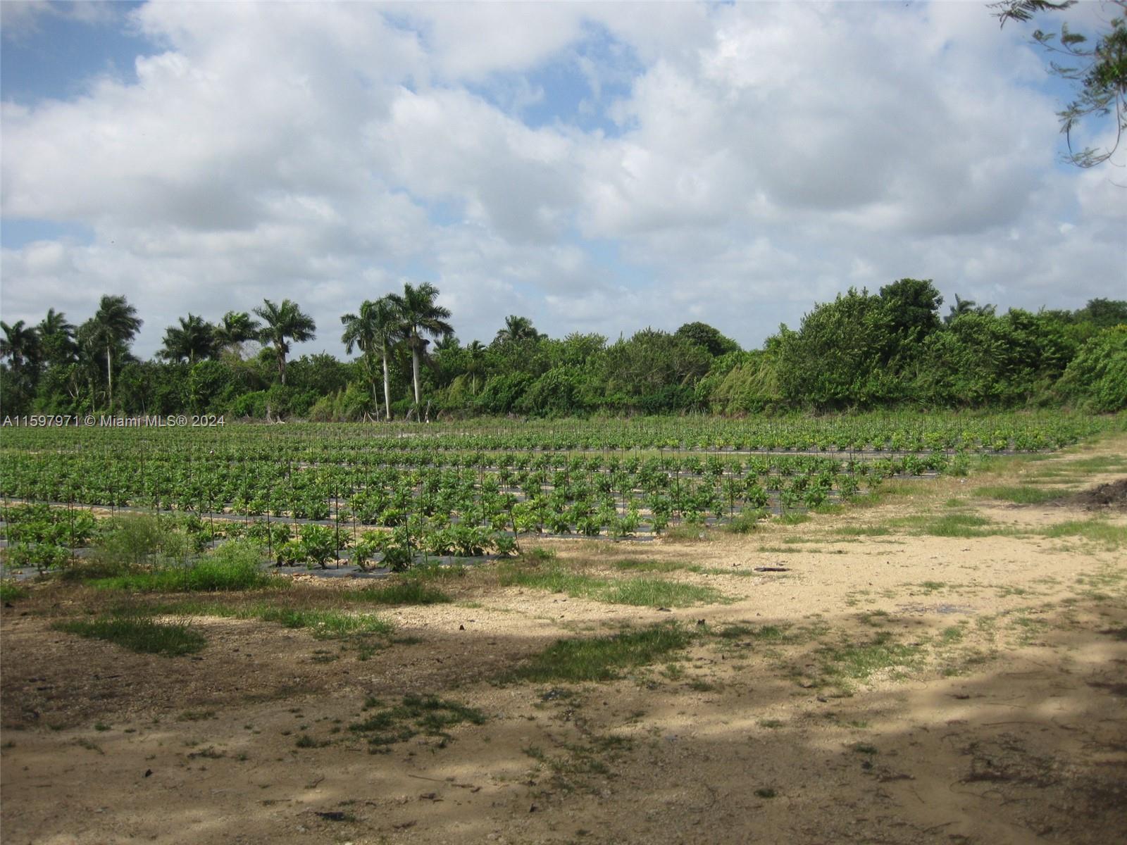 19922 Southwest 304th Street Homestead, FL 33030 - Photo 5 of 9 a view of a lake with a big yard