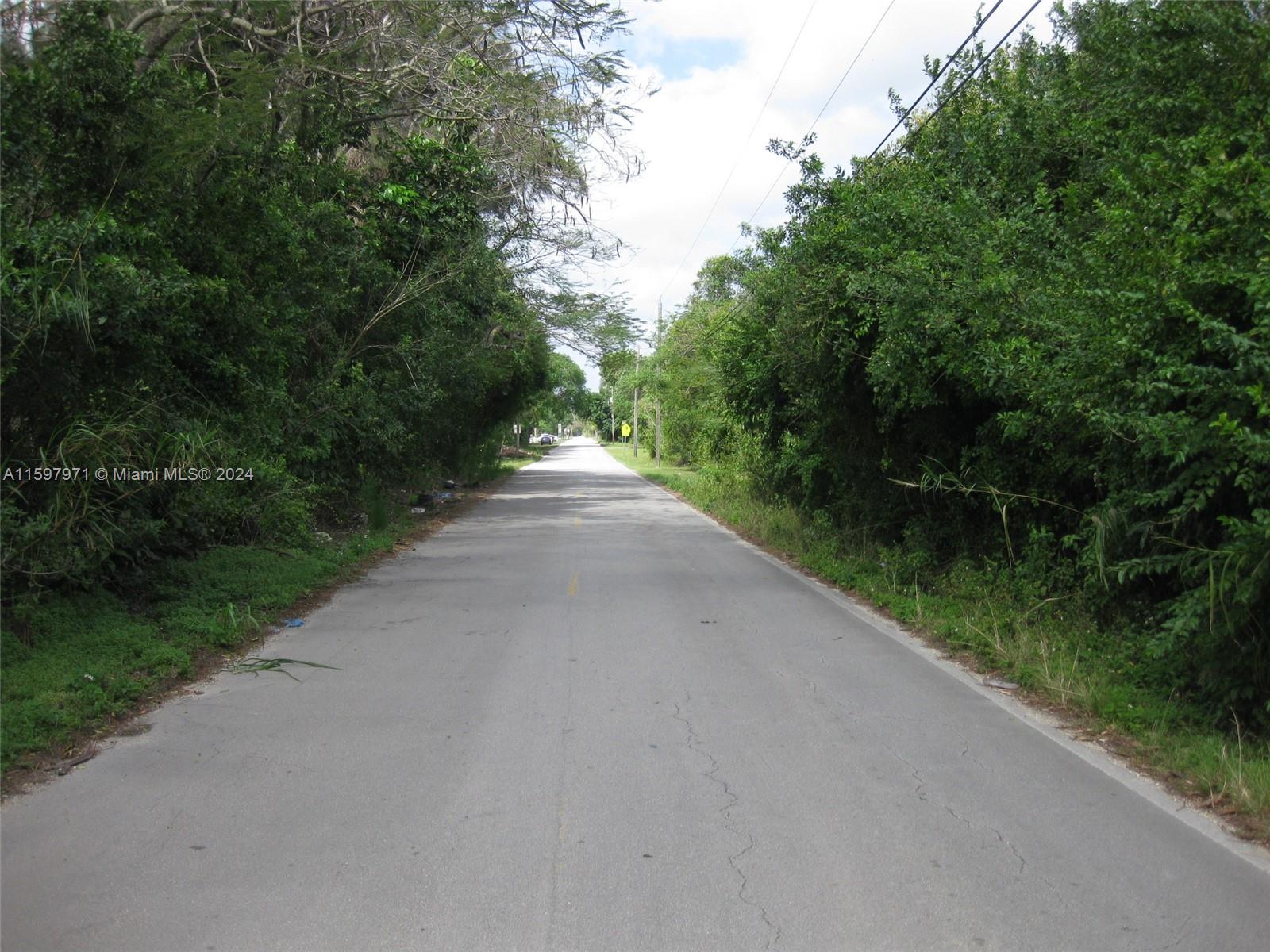 19922 Southwest 304th Street Homestead, FL 33030 - Photo 7 of 9 a view of a street with a yard and large trees