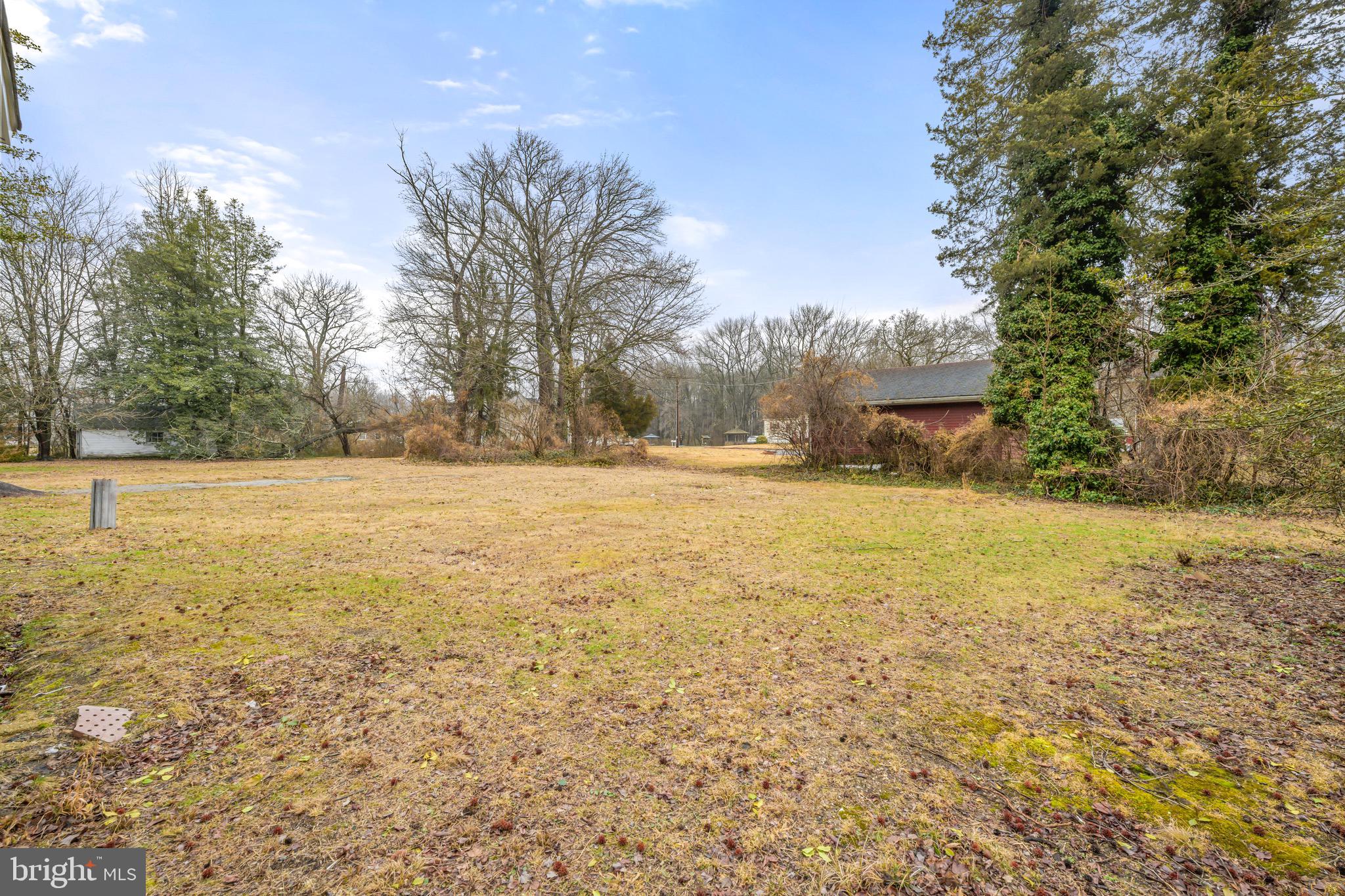 613 Hawks Bridge Road Carneys Point, NJ 08069 - Photo 37 of 38 a view of yard with large trees