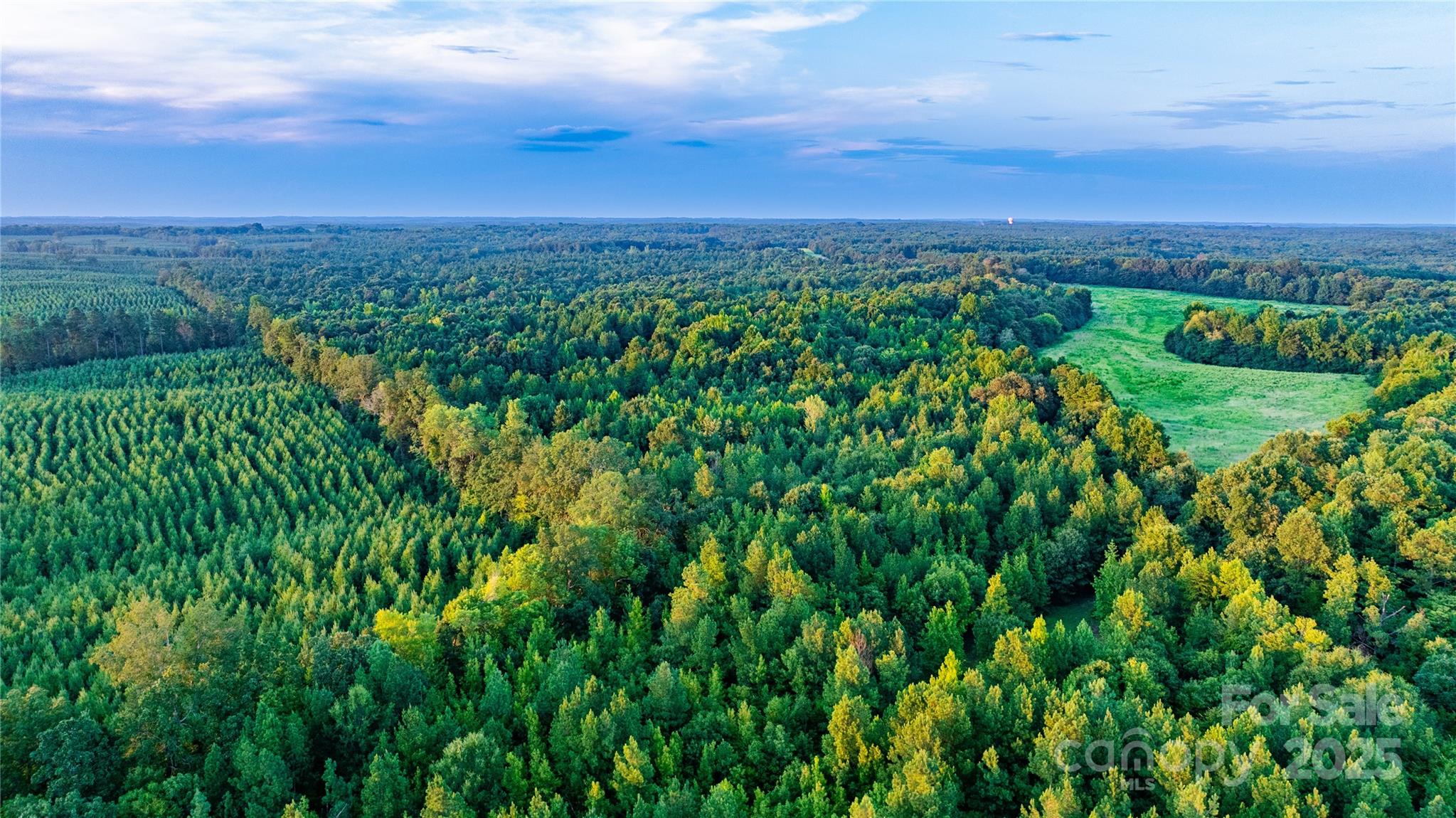 0 Daystar Road, Unit 10 Lancaster, SC 29720 - Photo 8 of 15