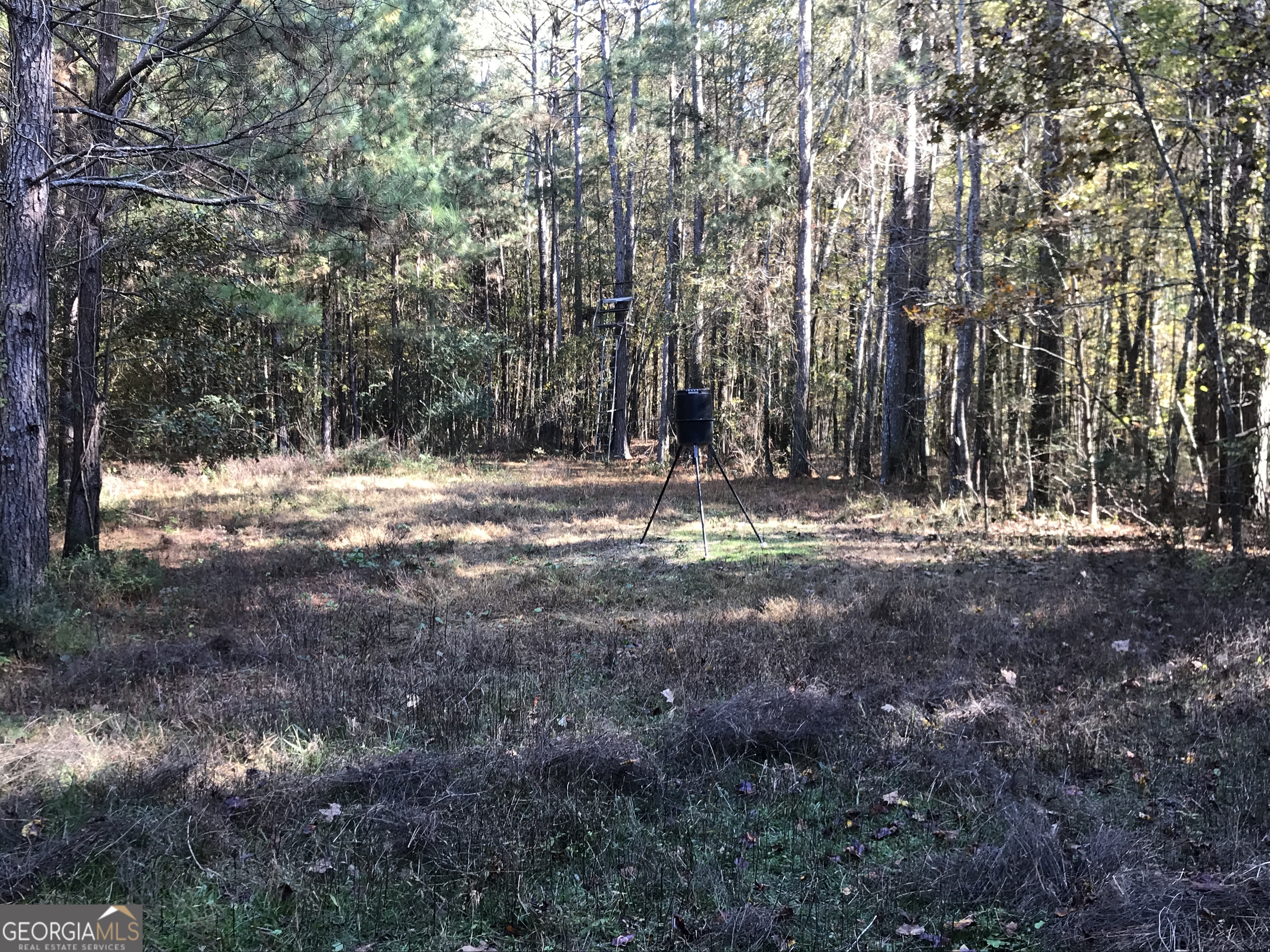 0 Hall Memorial Road, Unit 9595 Calhoun, GA 30703 - Photo 11 of 29 a view of outdoor space with trees