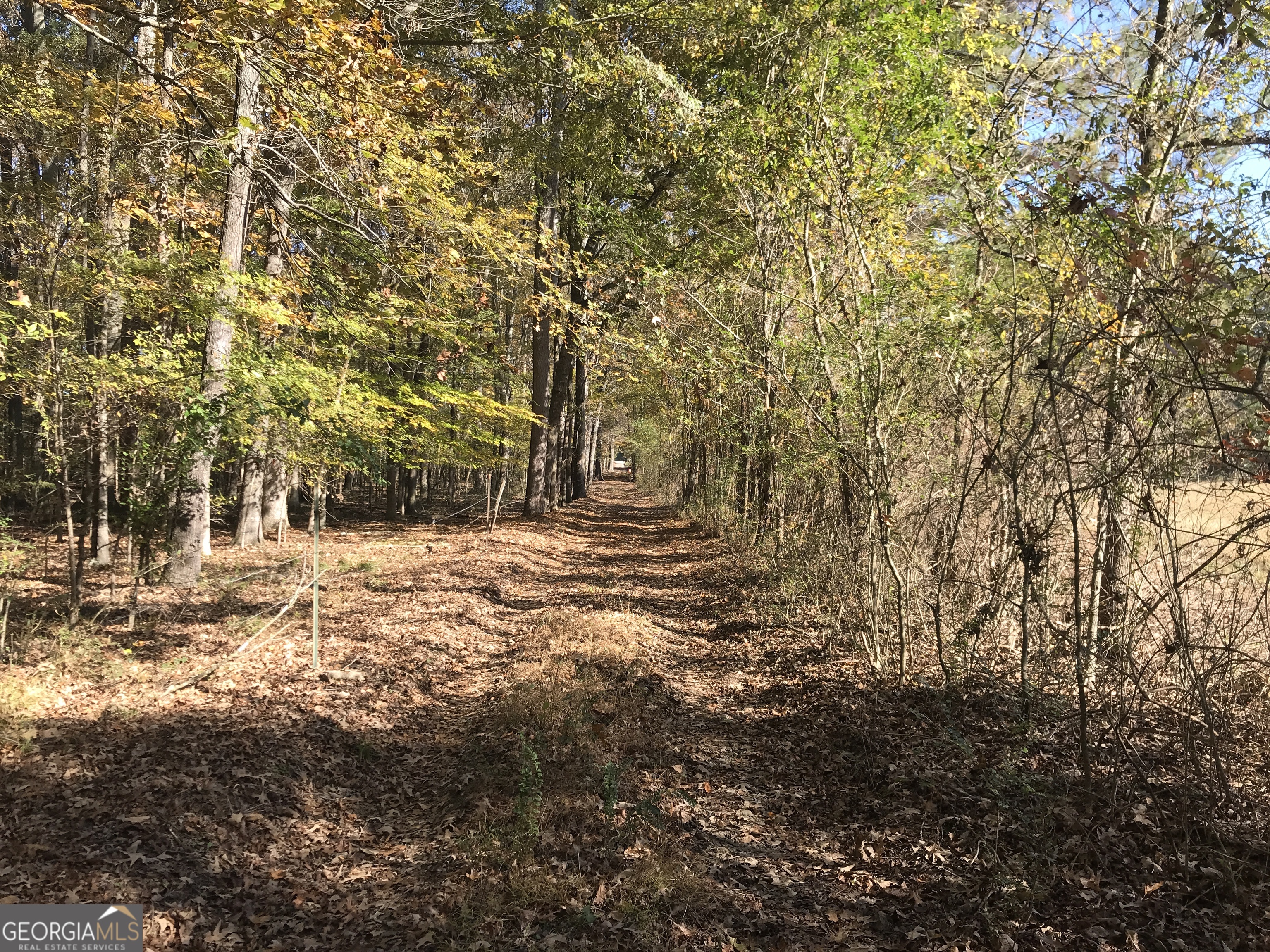 0 Hall Memorial Road, Unit 9595 Calhoun, GA 30703 - Photo 13 of 29 a view of outdoor space with trees