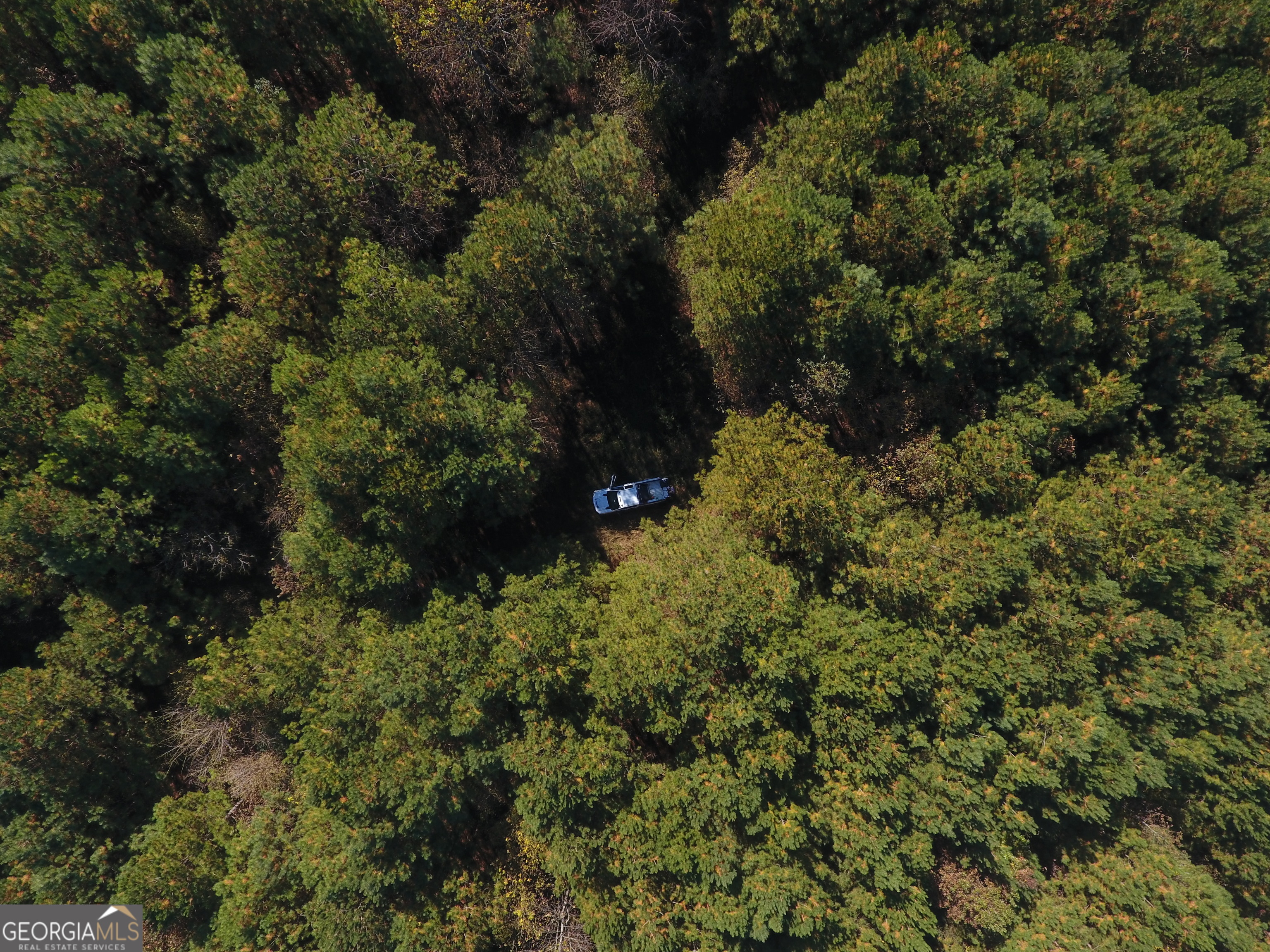 0 Hall Memorial Road, Unit 9595 Calhoun, GA 30703 - Photo 19 of 29 a view of a forest with a building