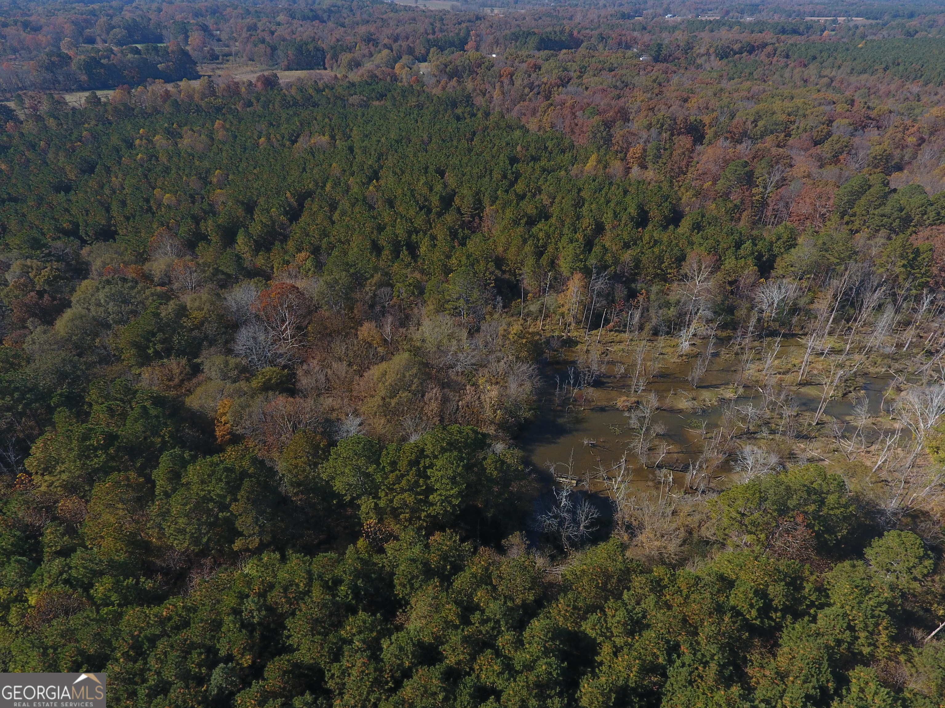 0 Hall Memorial Road, Unit 9595 Calhoun, GA 30703 - Photo 21 of 29 a view of a forest with a street