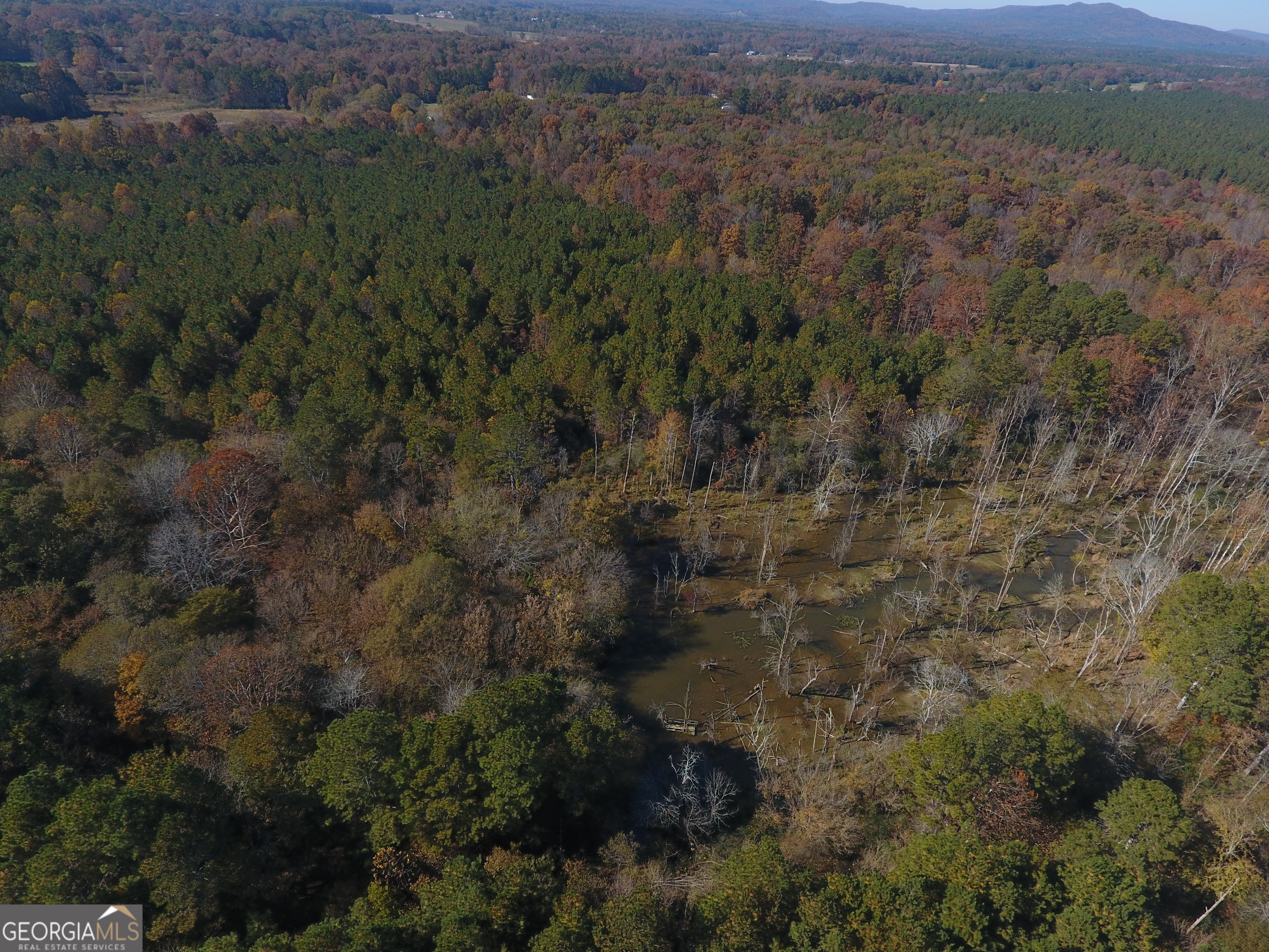 0 Hall Memorial Road, Unit 9595 Calhoun, GA 30703 - Photo 22 of 29 an aerial view of house with yard