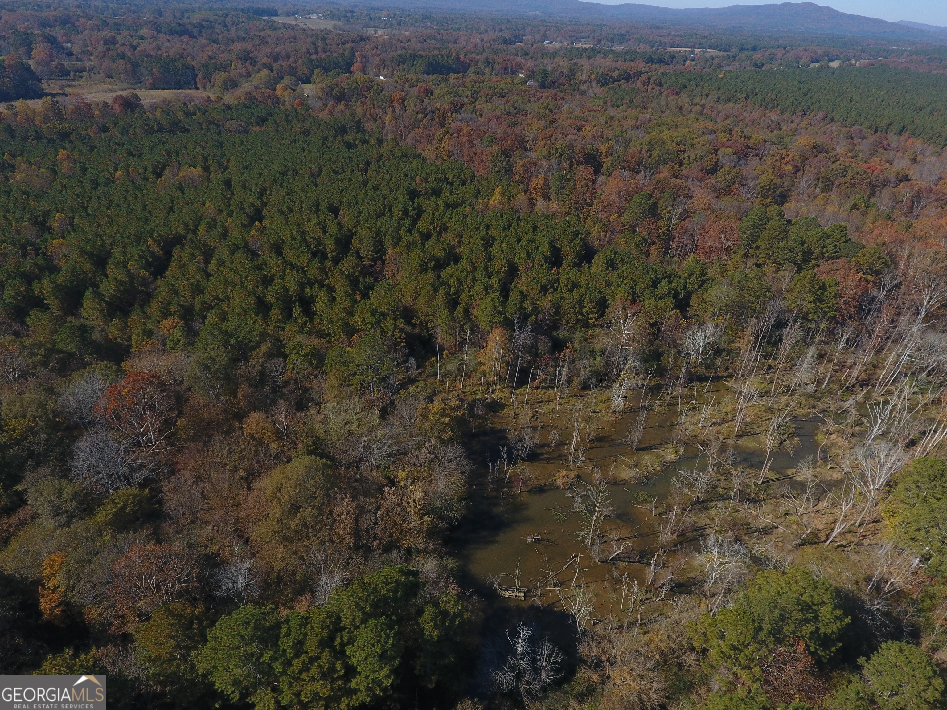 0 Hall Memorial Road, Unit 9595 Calhoun, GA 30703 - Photo 23 of 29 a view of a field of grass and mountain view