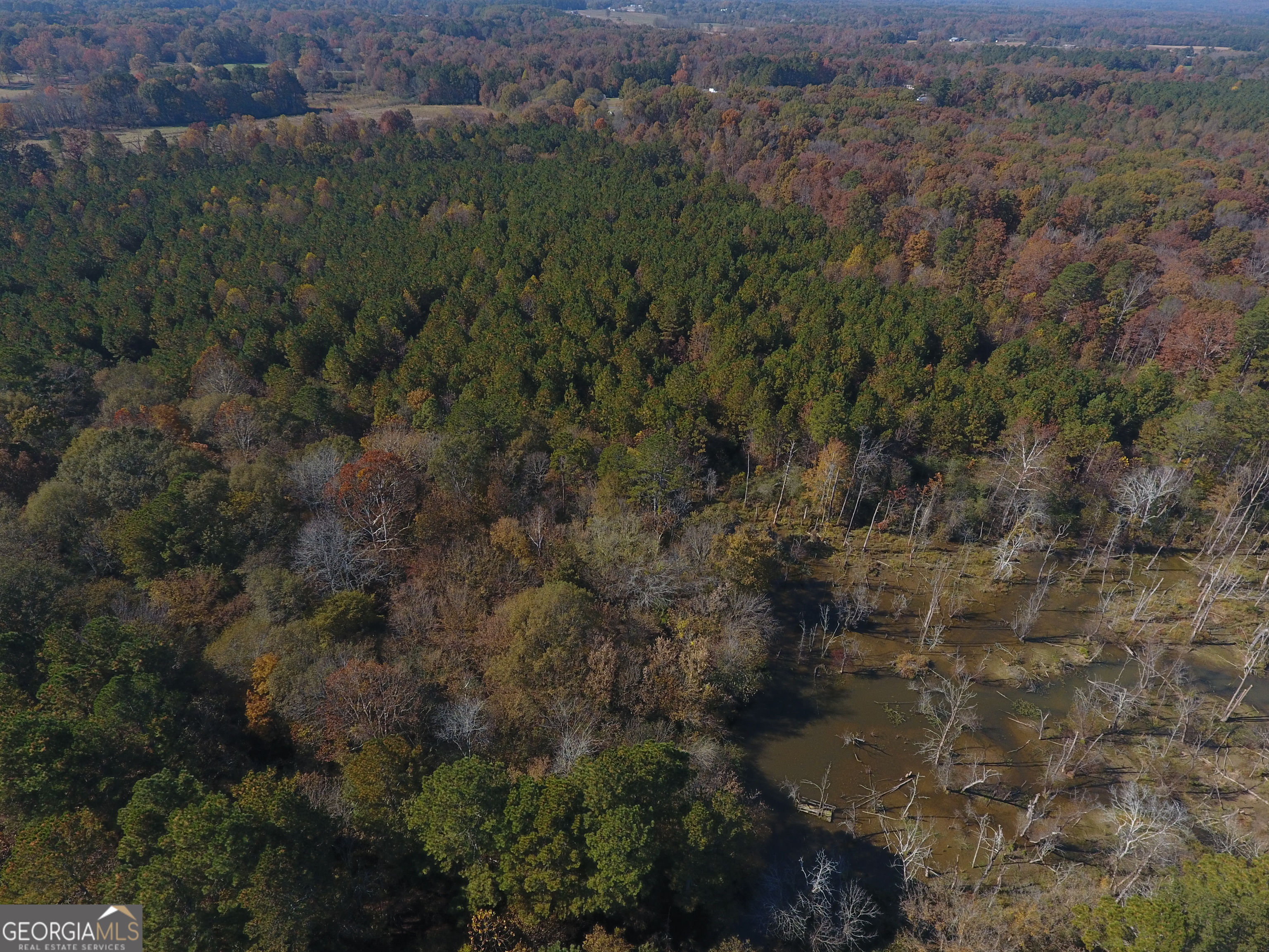 0 Hall Memorial Road, Unit 9595 Calhoun, GA 30703 - Photo 24 of 29 a view of a yard in a forest